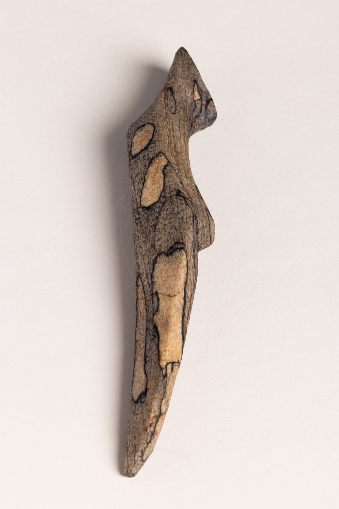 A back view of the Spalted Beech Sgian Dubh against a white background. 