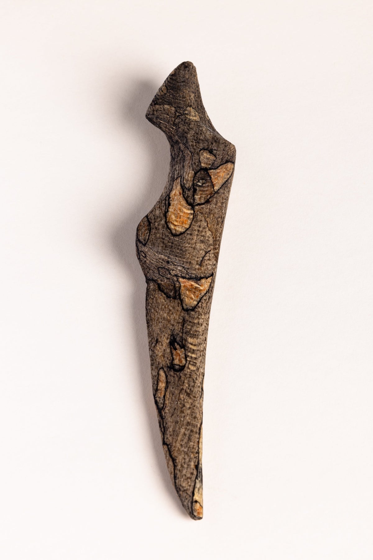 The front view of the Spalted Beech Sgian Dubh against a white bakground.